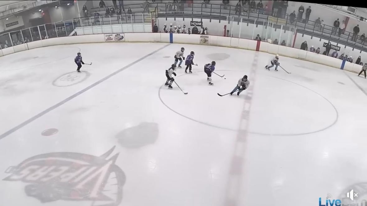 screenshot of live hockey game