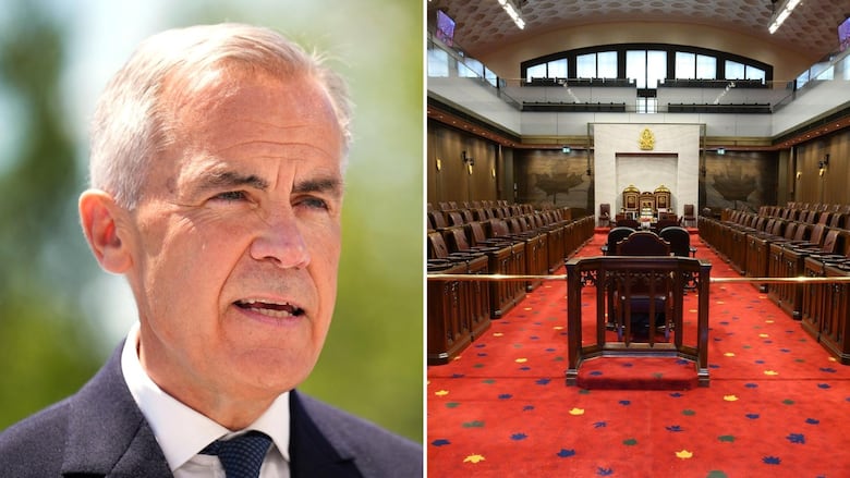 A split image with a man's face on the left side and a red legislative chamber on the right.