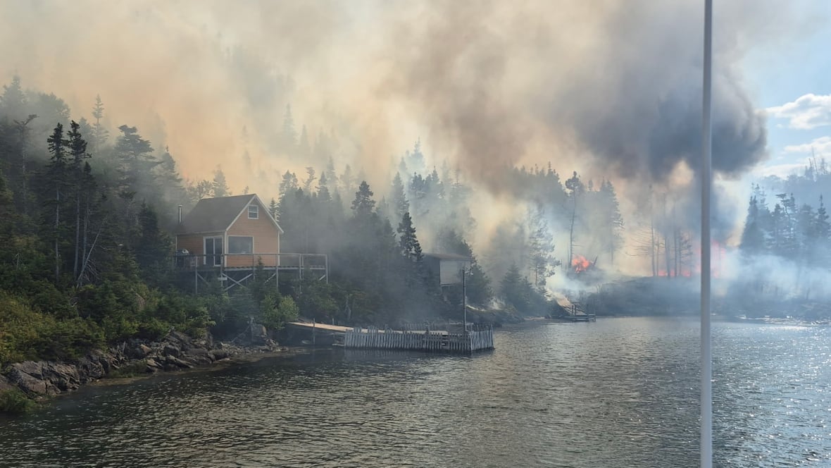 Plumes of thick grey smoke and flames in a forest beside a cabin.