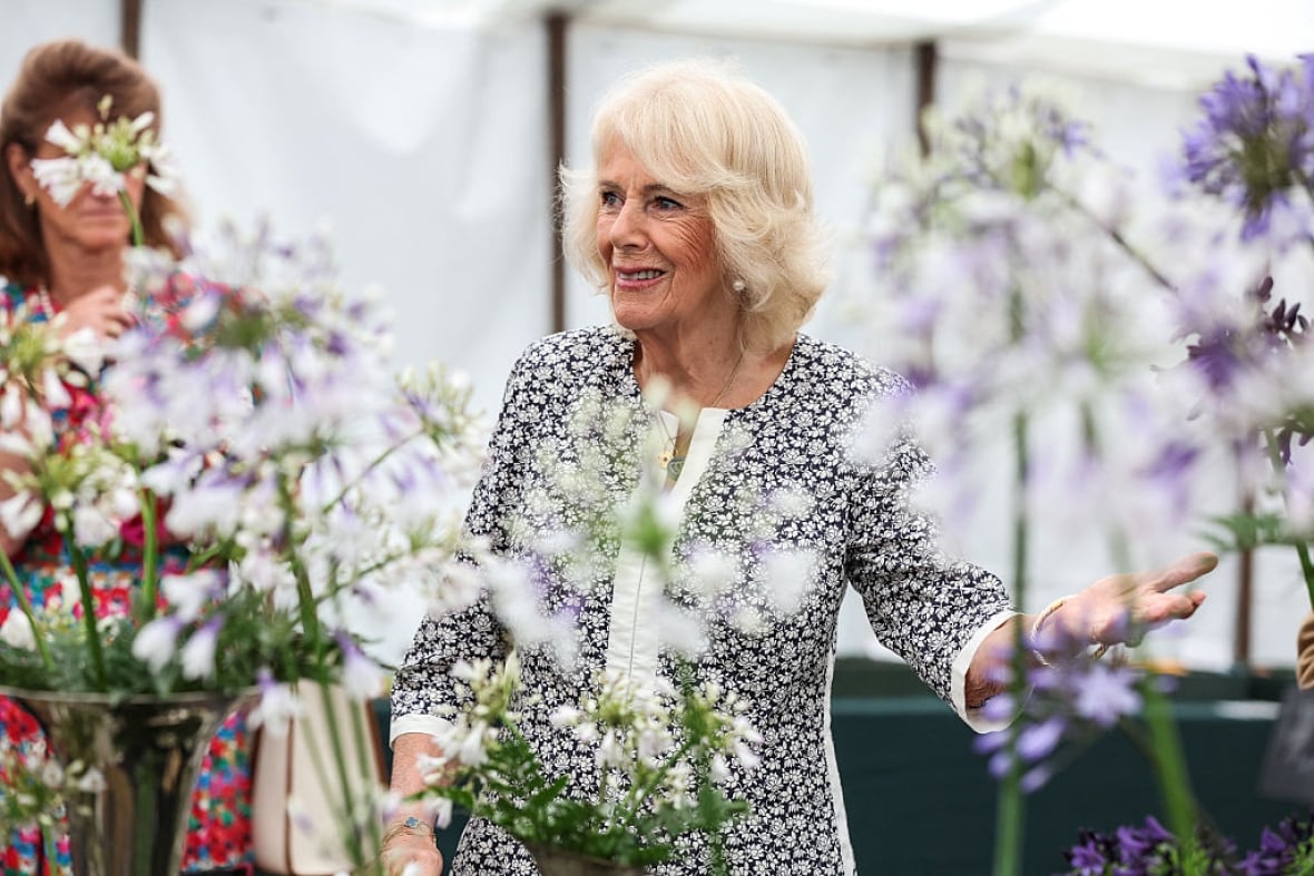 A person is shown behind a closeup of flowers.