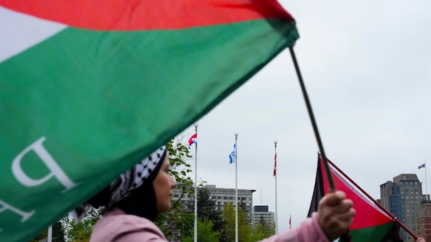 France plans to see the Palestine condition. Is Canada do the same?