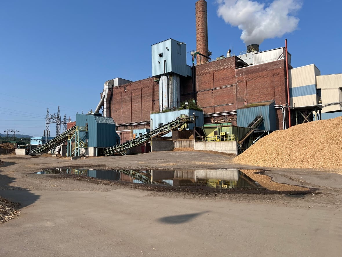 A brown manufacturing plan with a large chimney billowing smoke with a pile of wood pulp outside