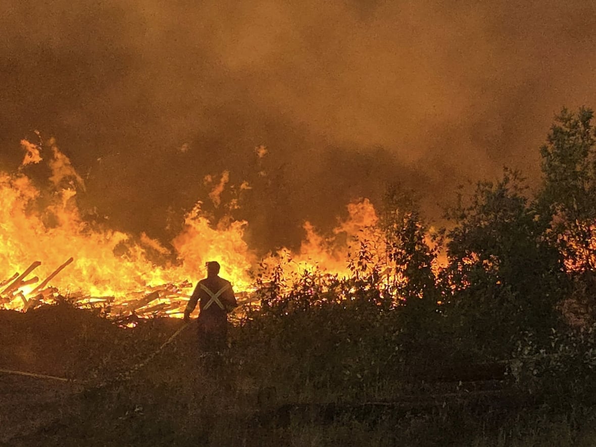 A man wearing a fire fighting uniform stands in front of a forest fire with a hose to blast it with water.
