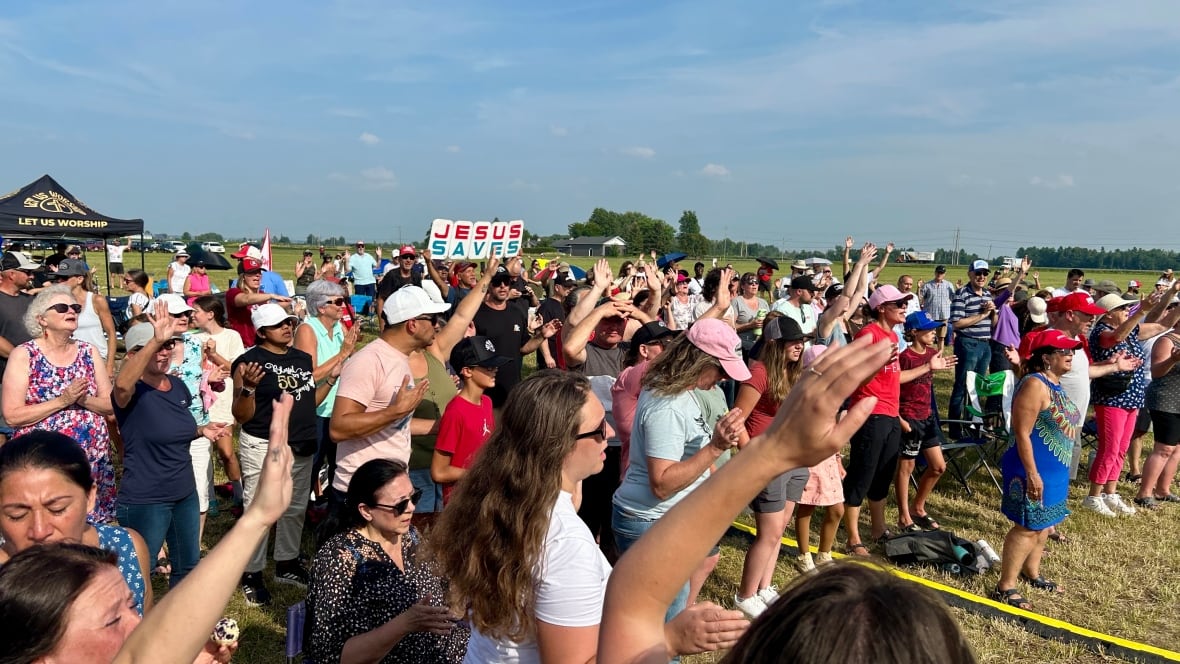 A crowd of fans watches a performance in a field on a sunny day.