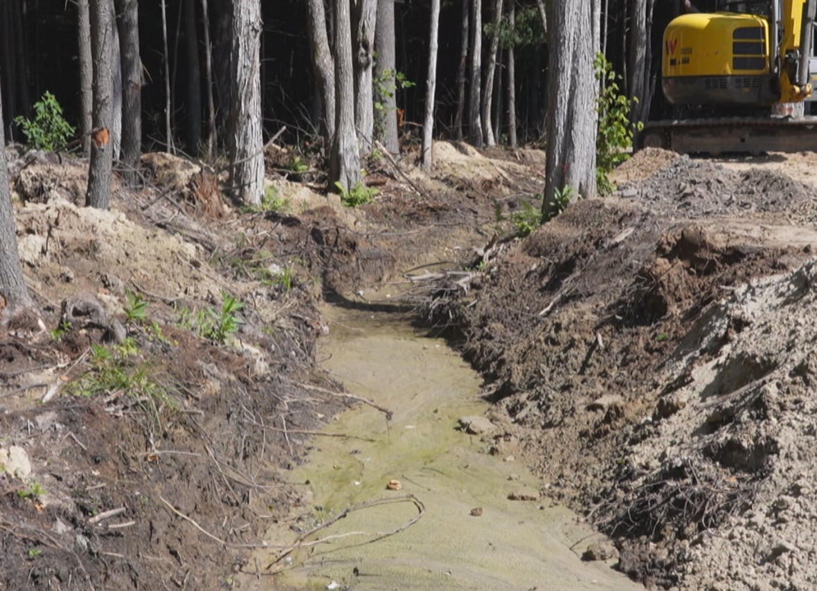 A ditch has been dug into a forest floor and it stretches dozens of meters into the forest. There is a backhoe in the upper righthand corner.