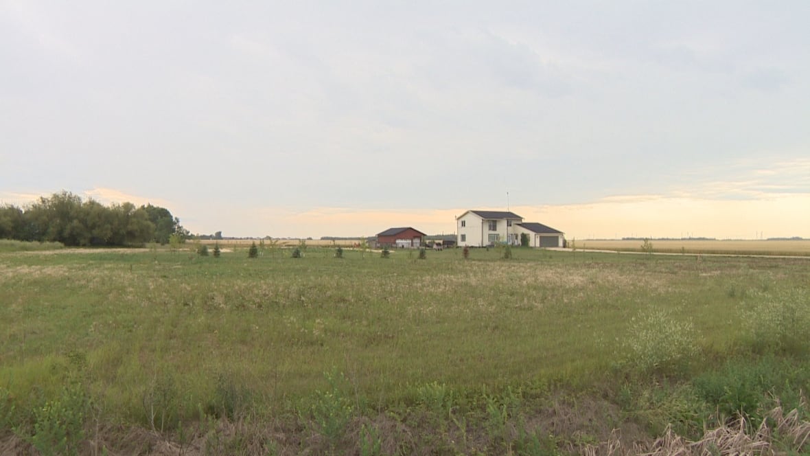 White farmhouse with red barn behind it viewed from across a green field 