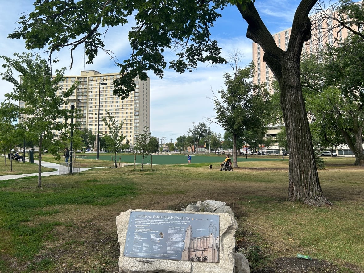 Wide view of a green space with apartment buildings behind it.