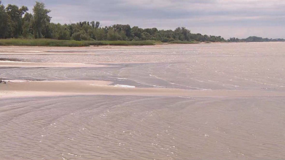 Shoreline of a lake, with shallow water and sand