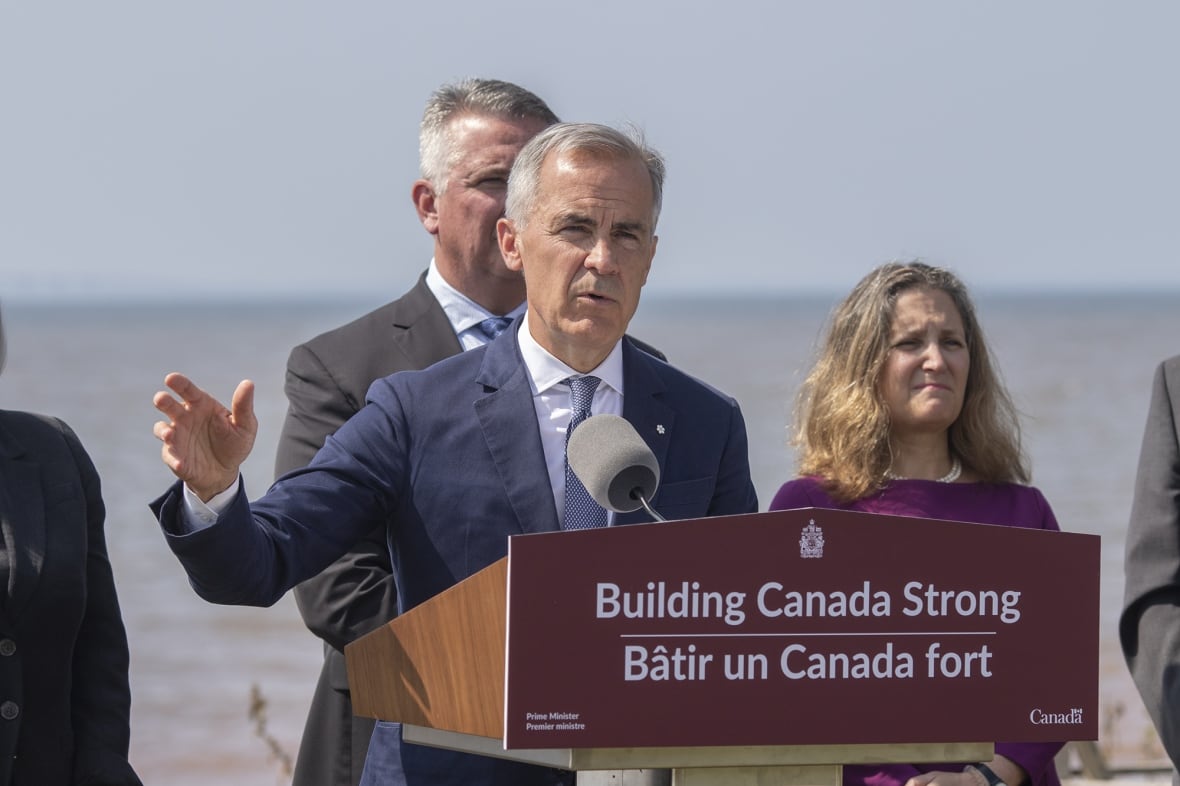A grey haired man gestures while sanding at a podium