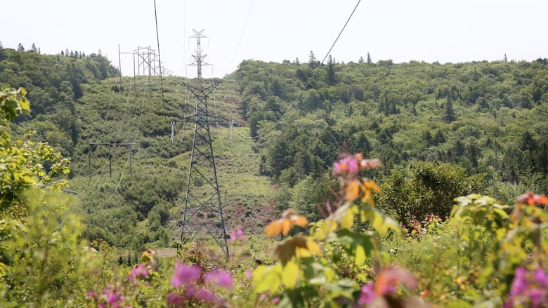 Tall metal towers carrying power lines run uphill into the distance and over the top of a distant hill covered in green trees.