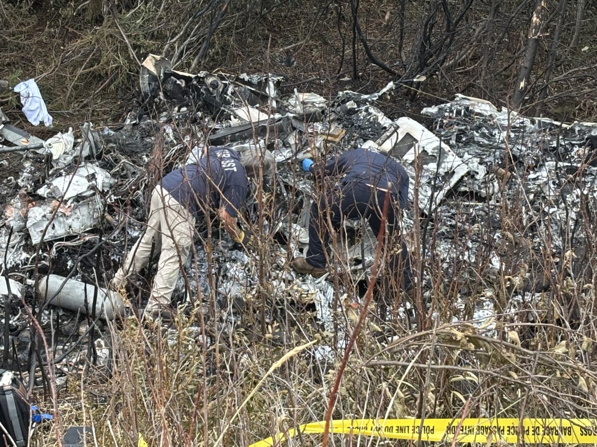 Two men sorting through debris from a plane crash in a ditch
