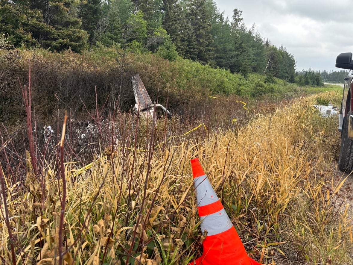 Debris of a plane crash in a ditch on the side of the highway