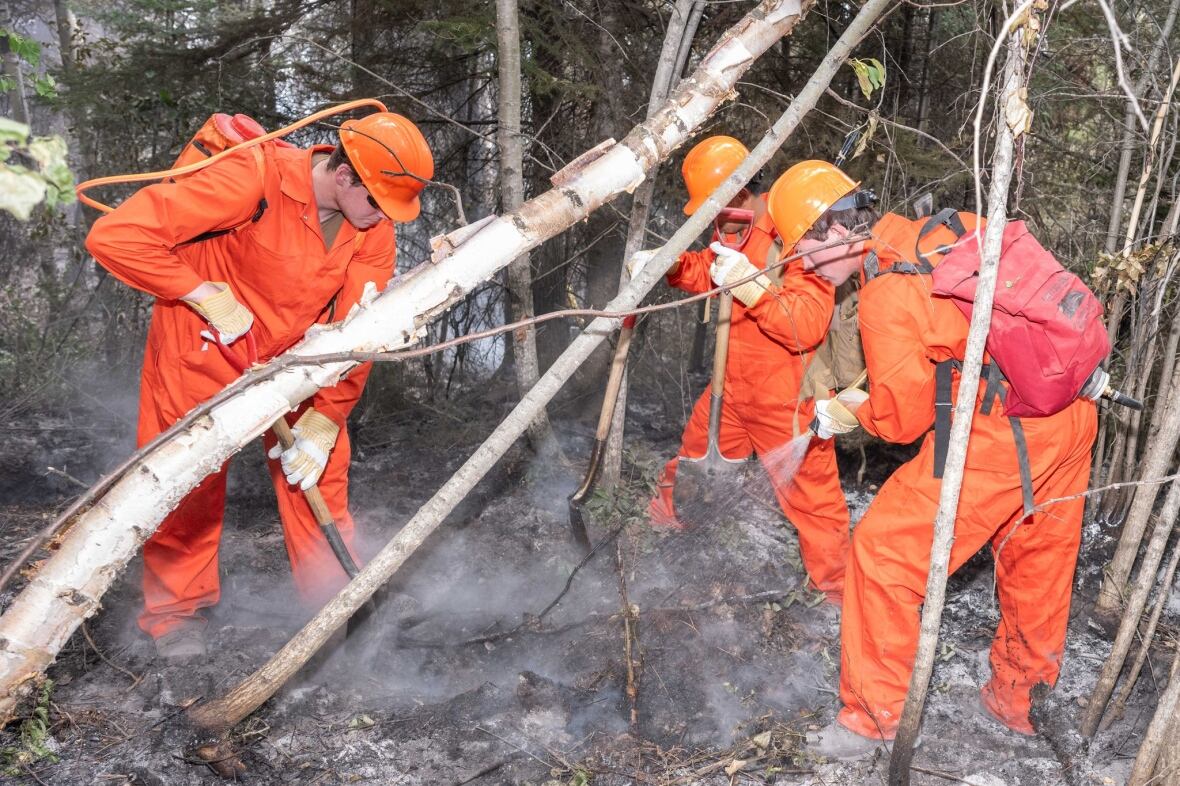 firefighters