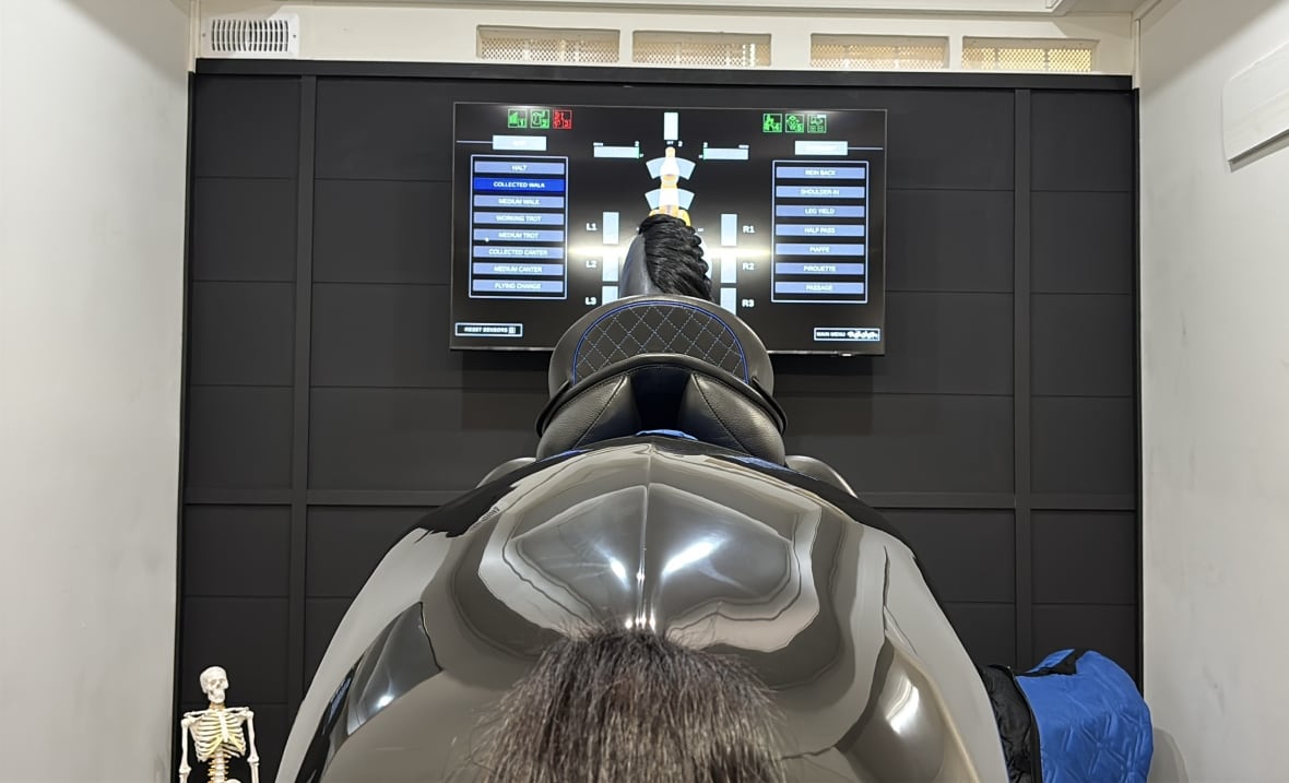 Mechanical horse and screen with data