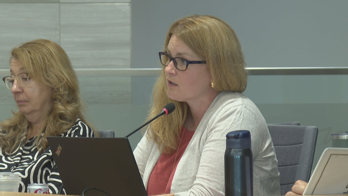A woman at a council meeting.