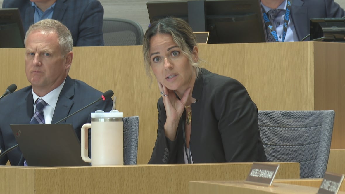 A woman at a council meeting.