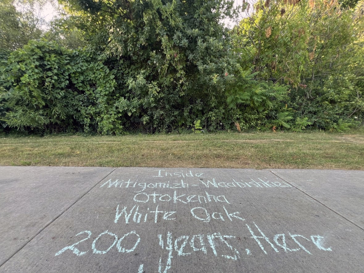 Chalk writing on the sidewalk reads 