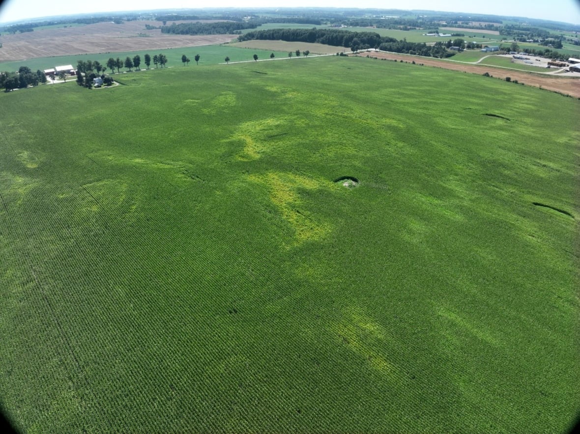 Damage to a field caused by the third of three tornadoes reported in Huron County on Saturday evening. This tornado, reported near Harlock, saw maximum winds of approximately 90 kilometres per hour.