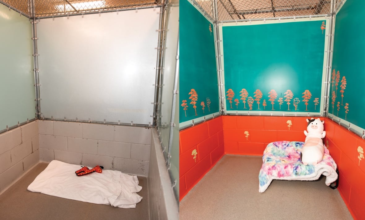 An empty dog kennel, seen before and after a colourful paint job.