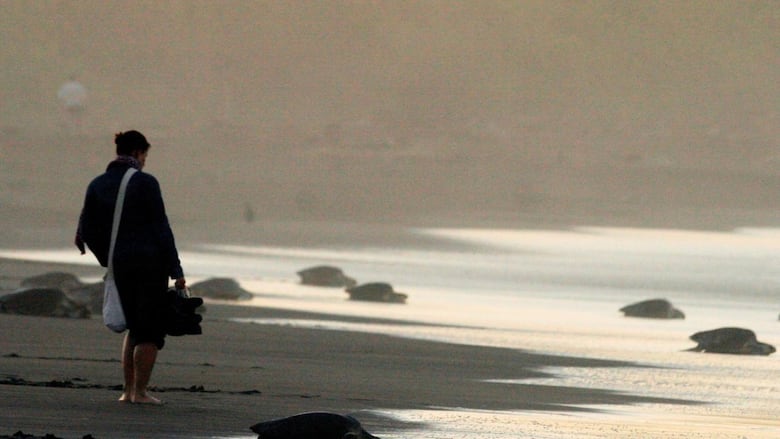 A man walking on a beach in Costa Rica.