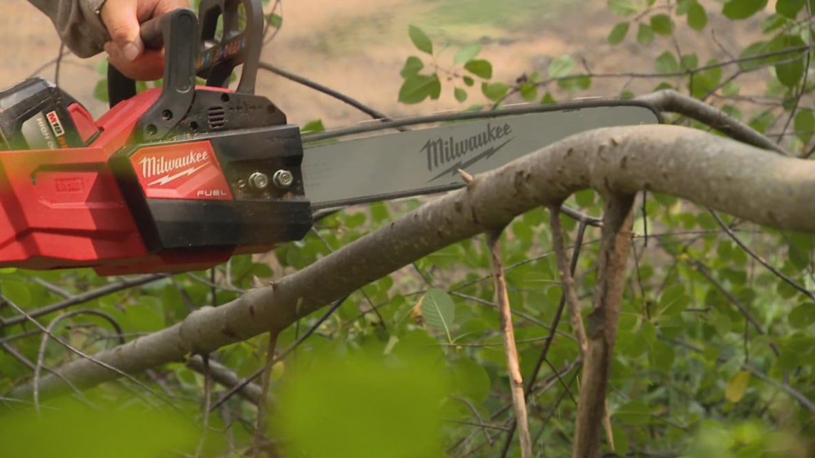 Chainsaw