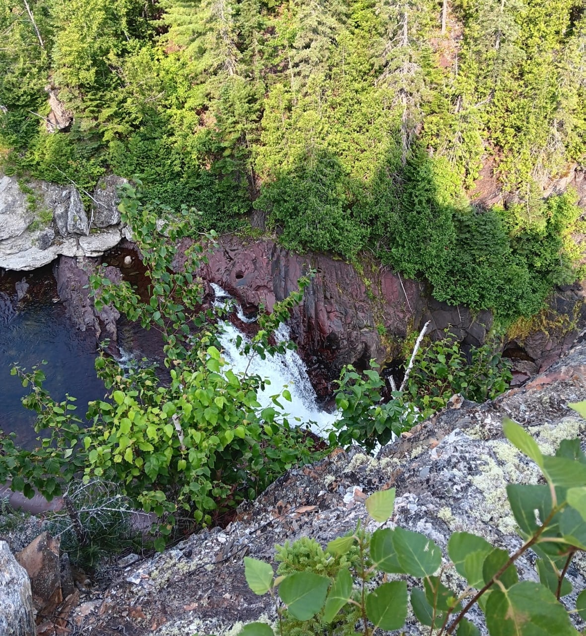 A waterfall surrounded by greenery photographed from above
