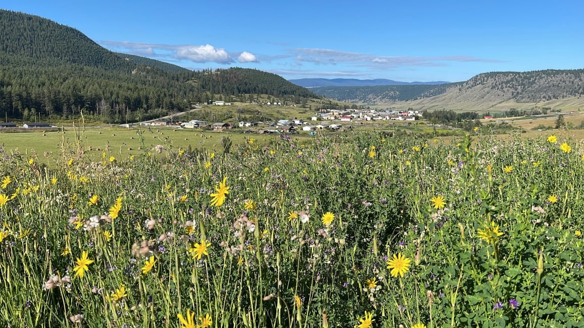 Wildflowers in the foreground, a small village in the background.