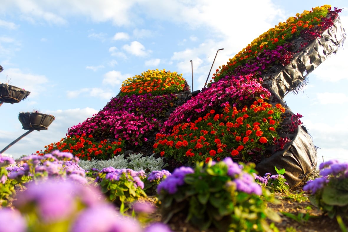 A butterfly sculpture made of colourful flowers