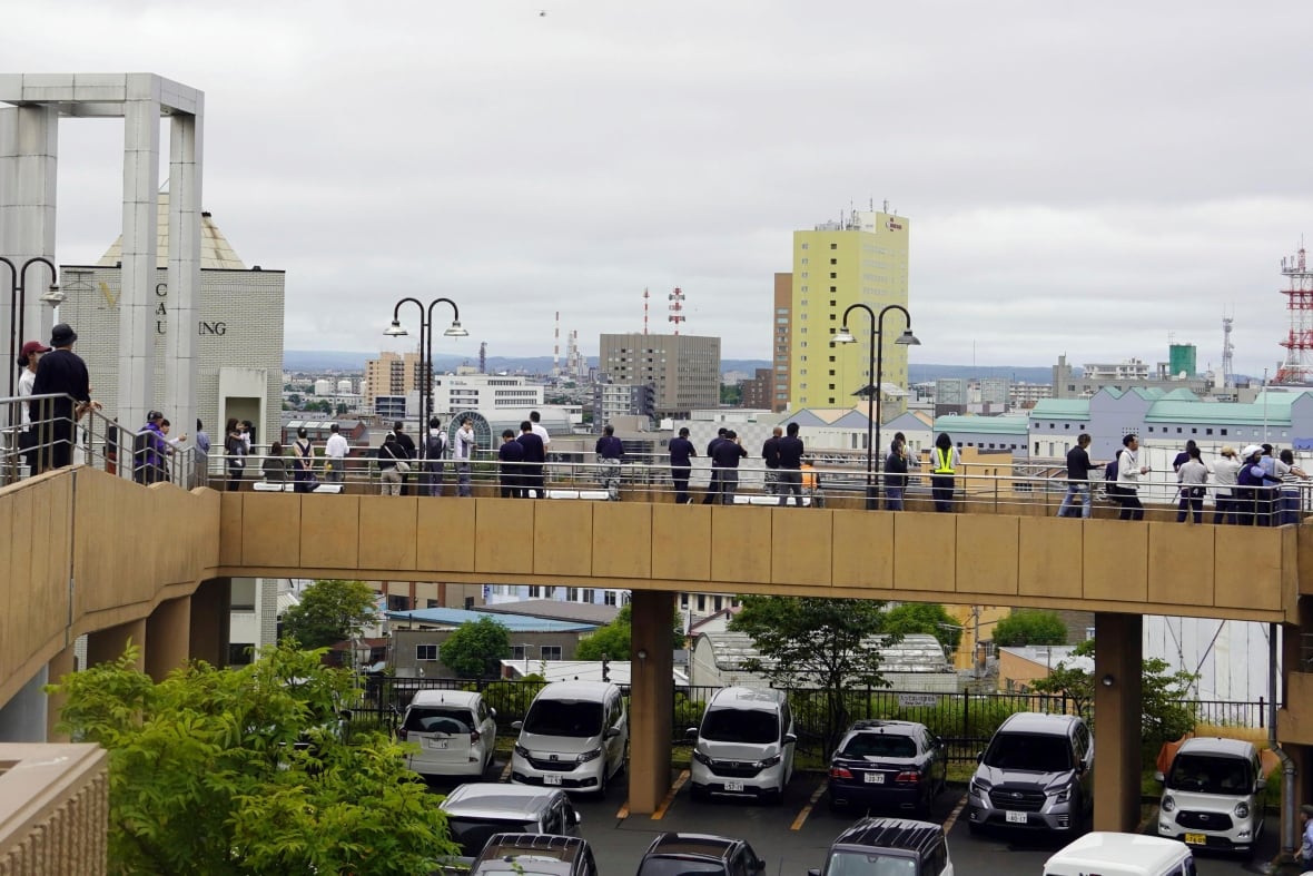 A number of people gather on an elevated bridge walkway with cars parked below, overlooking a city. 