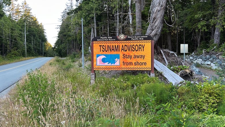 An orange tsunami advisory sign says "Stay away from shore" on the side of the road