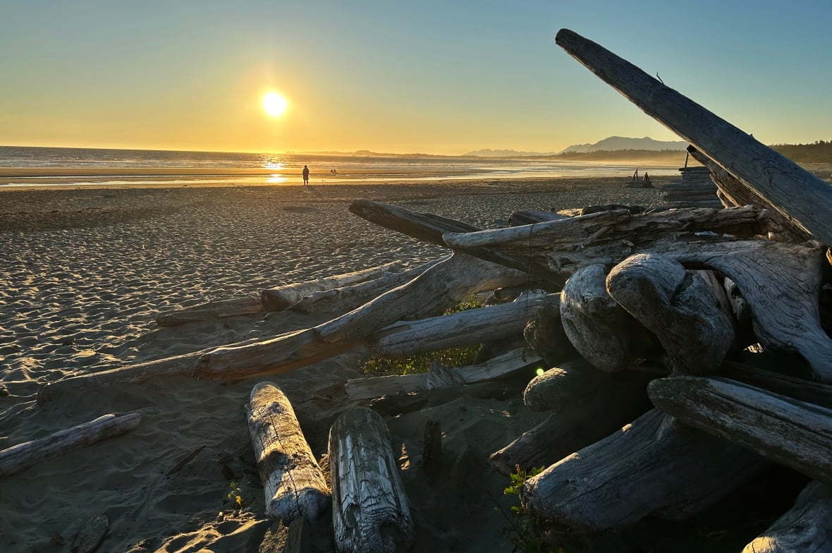 Sunset en una playa, madera flotante en el frente.