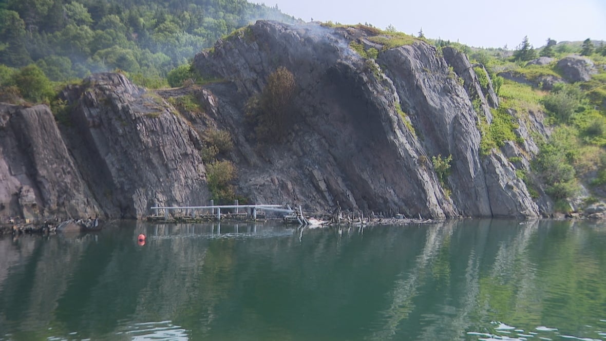 Quidi Vidi gut naked coastline
