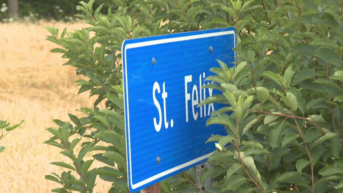 A road sign reading 'St. Felix' nestled in a shrub at a roadside.