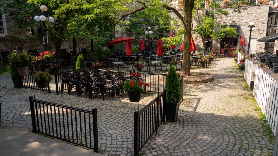 Patio chairs in the Clarendon Lane Courtyard