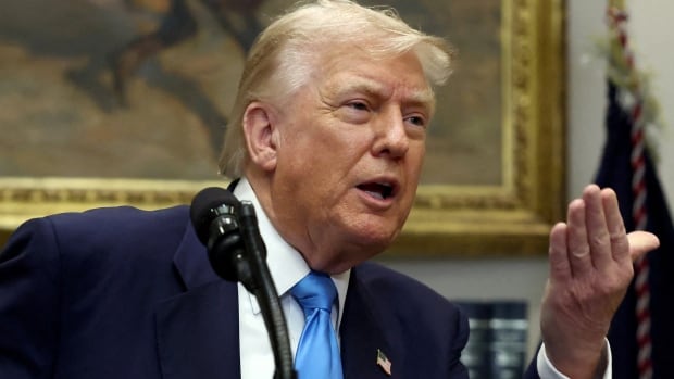 U.S. President Donald Trump is seen speaking at the White House.