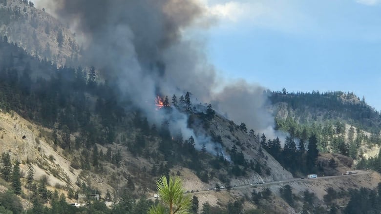 Flames and smoke arise from a forested hill.