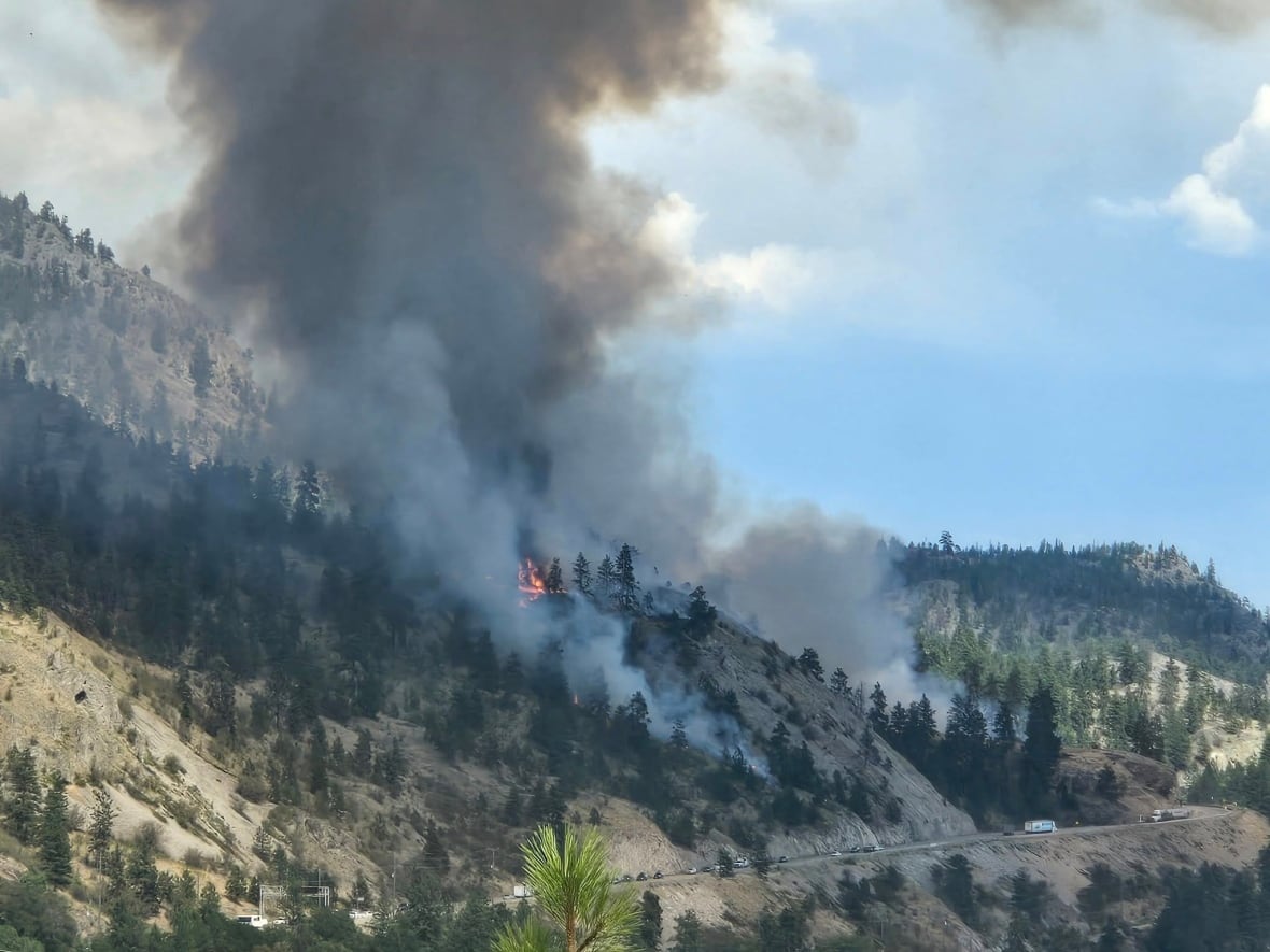 Flames and smoke arise from a forested hill.