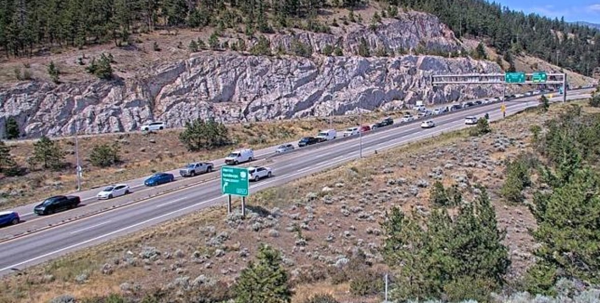 A long lineup of cars on a sunny highway.
