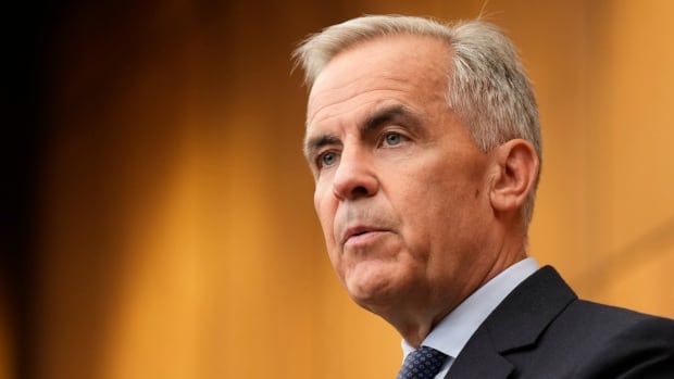 Prime Minister Mark Carney 