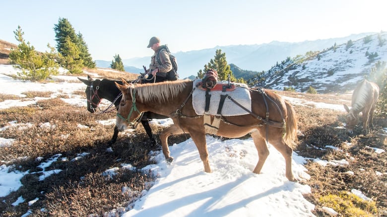 A man riding a horse leads another horse through a snowy mountain pass.