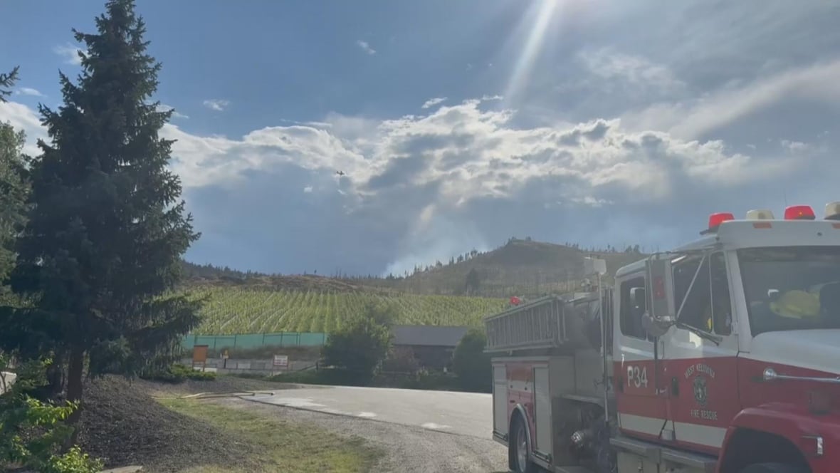 You can see a fire extinction truck on a sunny day with vineyards in the background.