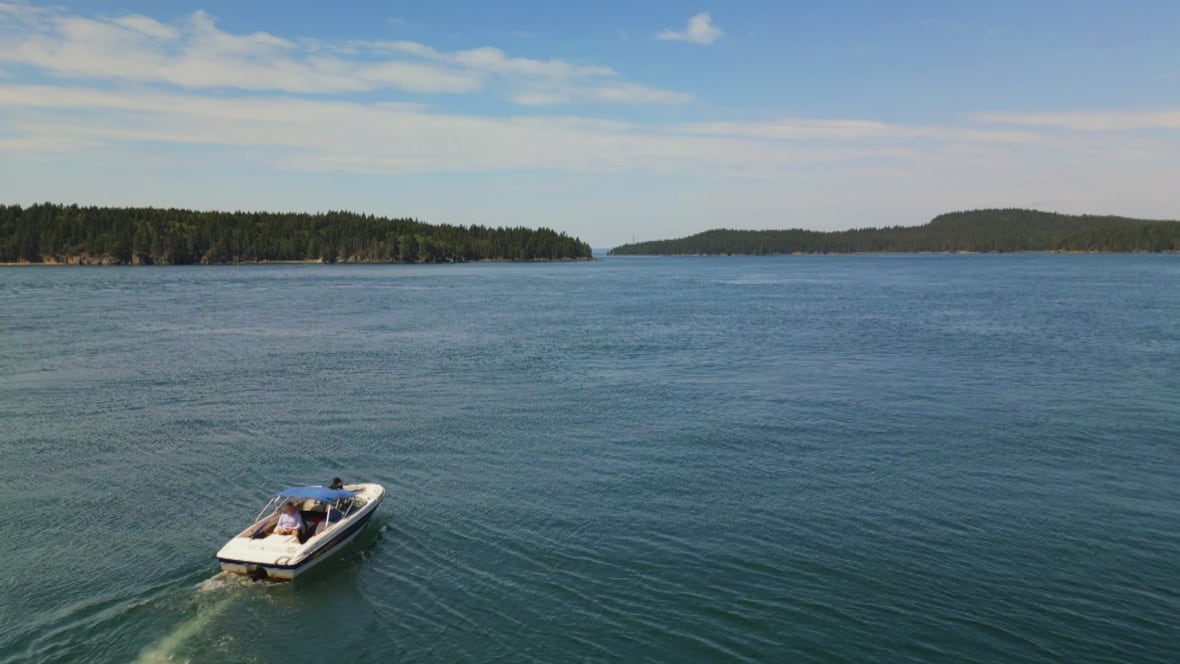 A small speed boat driving through a calm bay