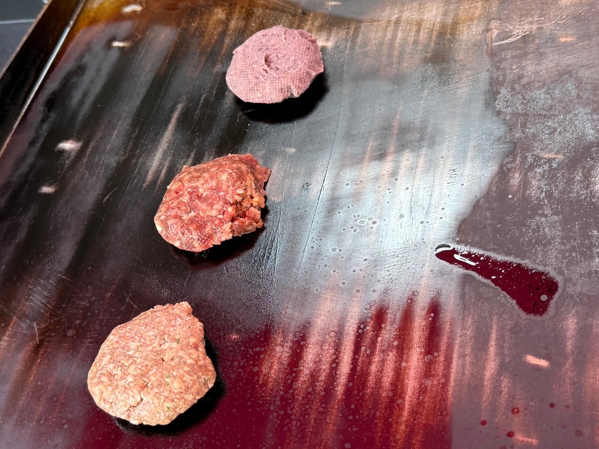 Top to bottom: the Bug Burger (cricket and black bean), the Bird Burger (ostrich), and the "Beef" Burger (Buffalo/Elk).