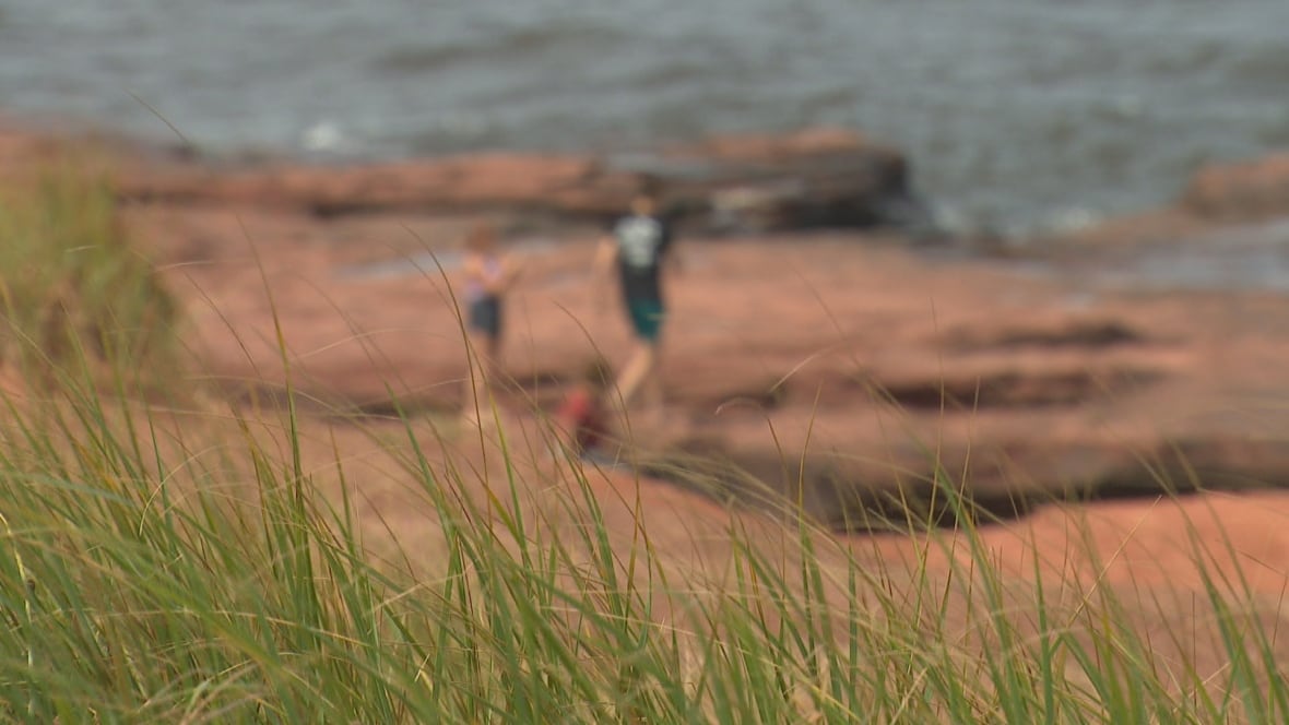 A soft focus image of people playing on red sandstone cliffs near the ocean.