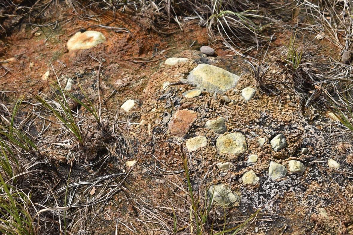 A shot of the ground, with copper-coloured dirt and rocks.