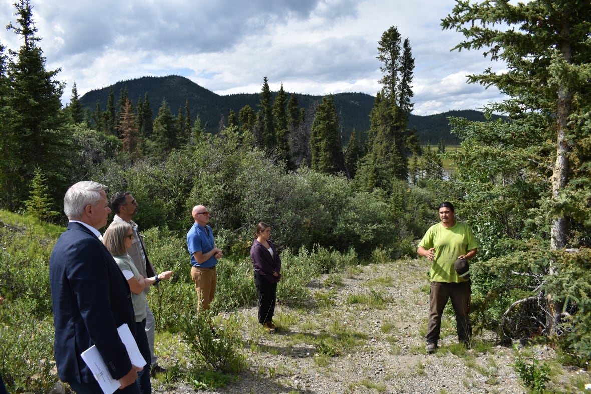 A group of people stand listening to a man talk in a forest. 
