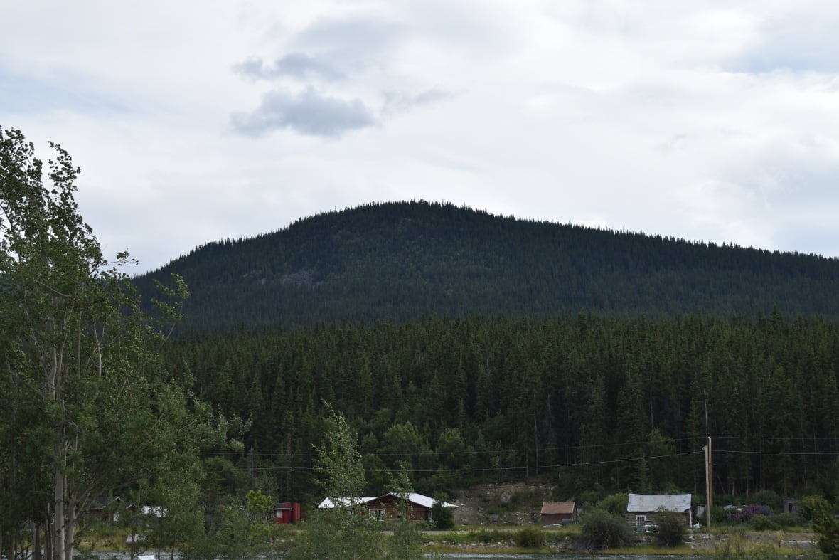 A tree-covered mountain seen from afar.