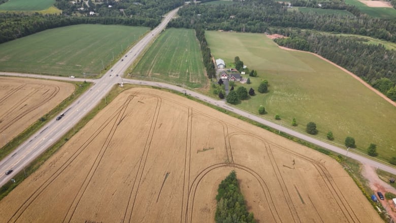 An overhead shot of a field