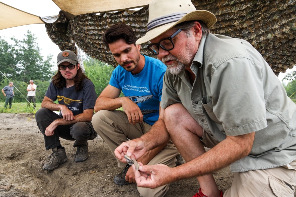 Meet 'Walt,' the 80-million-year-old mosasaur named after the Texas teen who dug it up on the Canadian Prairie 2 Three men look at a fossil dig site.