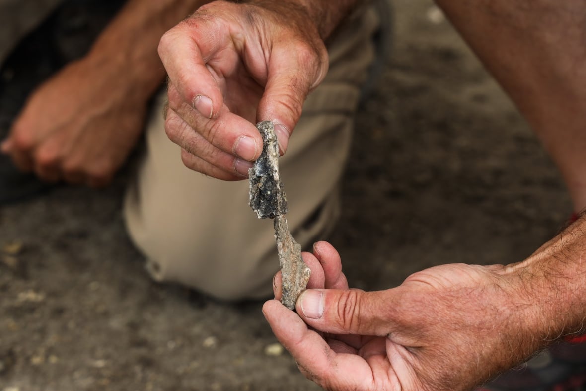Meet 'Walt,' the 80-million-year-old mosasaur named after the Texas teen who dug it up on the Canadian Prairie 3 A man holds up a fossil.